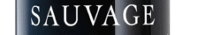 dior-sauvage-eau-de-parfum-30ml-Photoroom